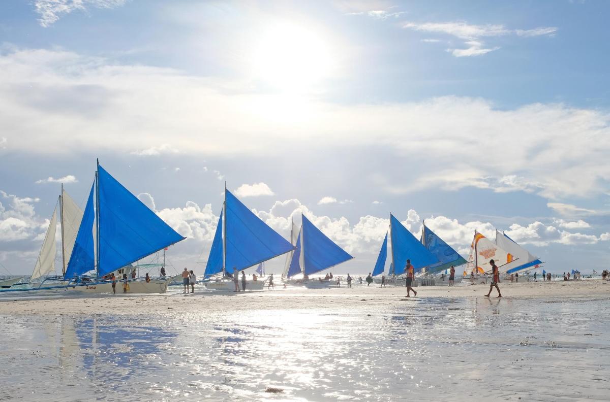 a group of blue sail boats on a beach