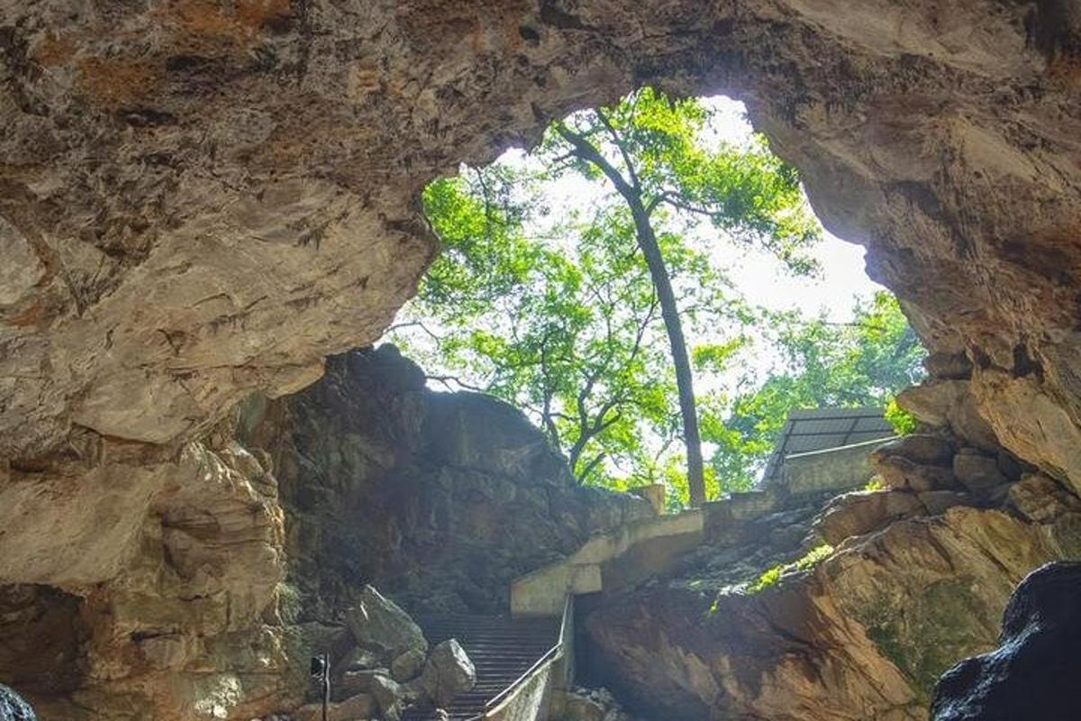 a view from inside of a rock cave with stairs