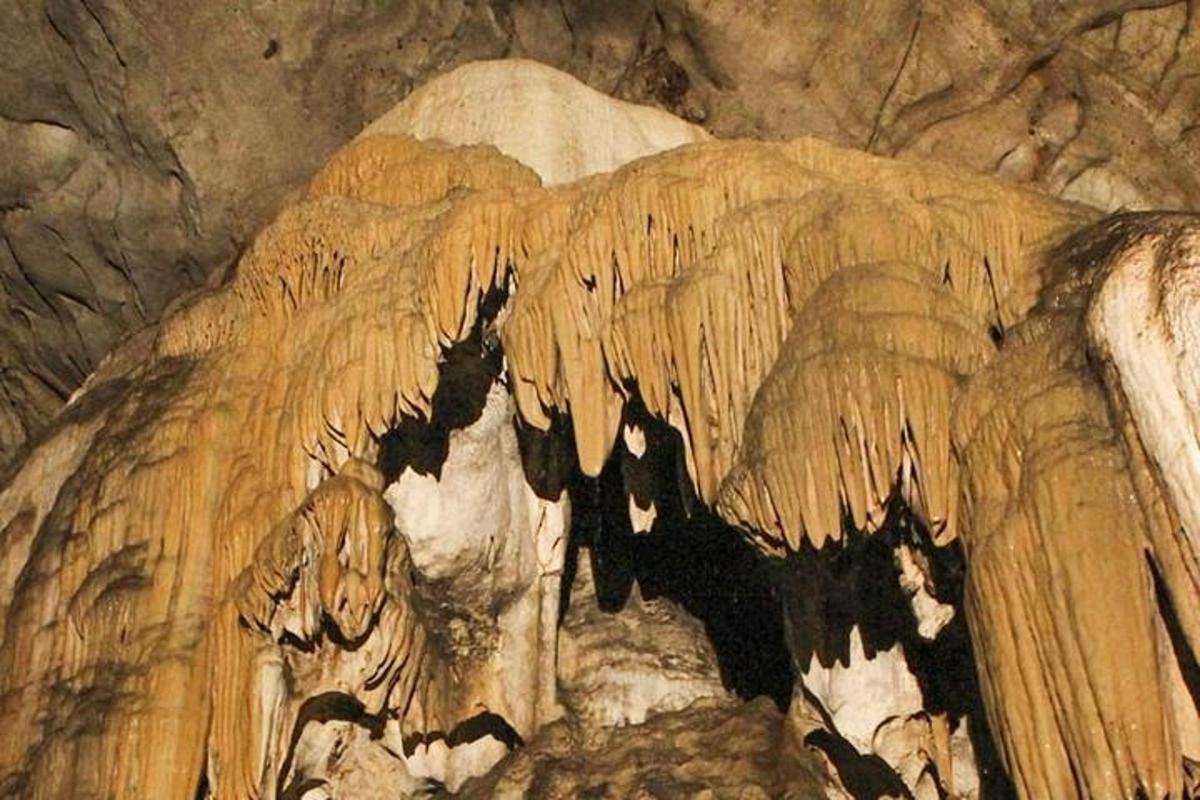 a cave with a painting of a cow on it