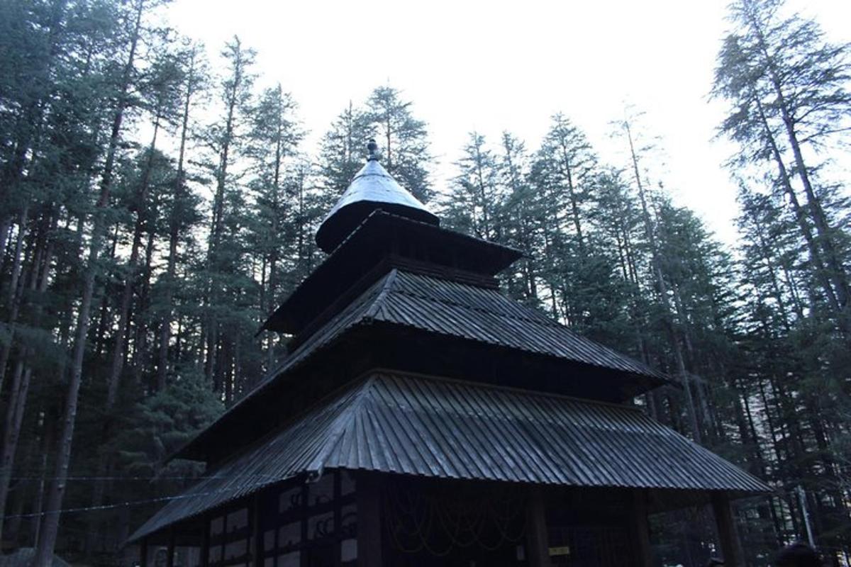 a small building with a roof in a forest