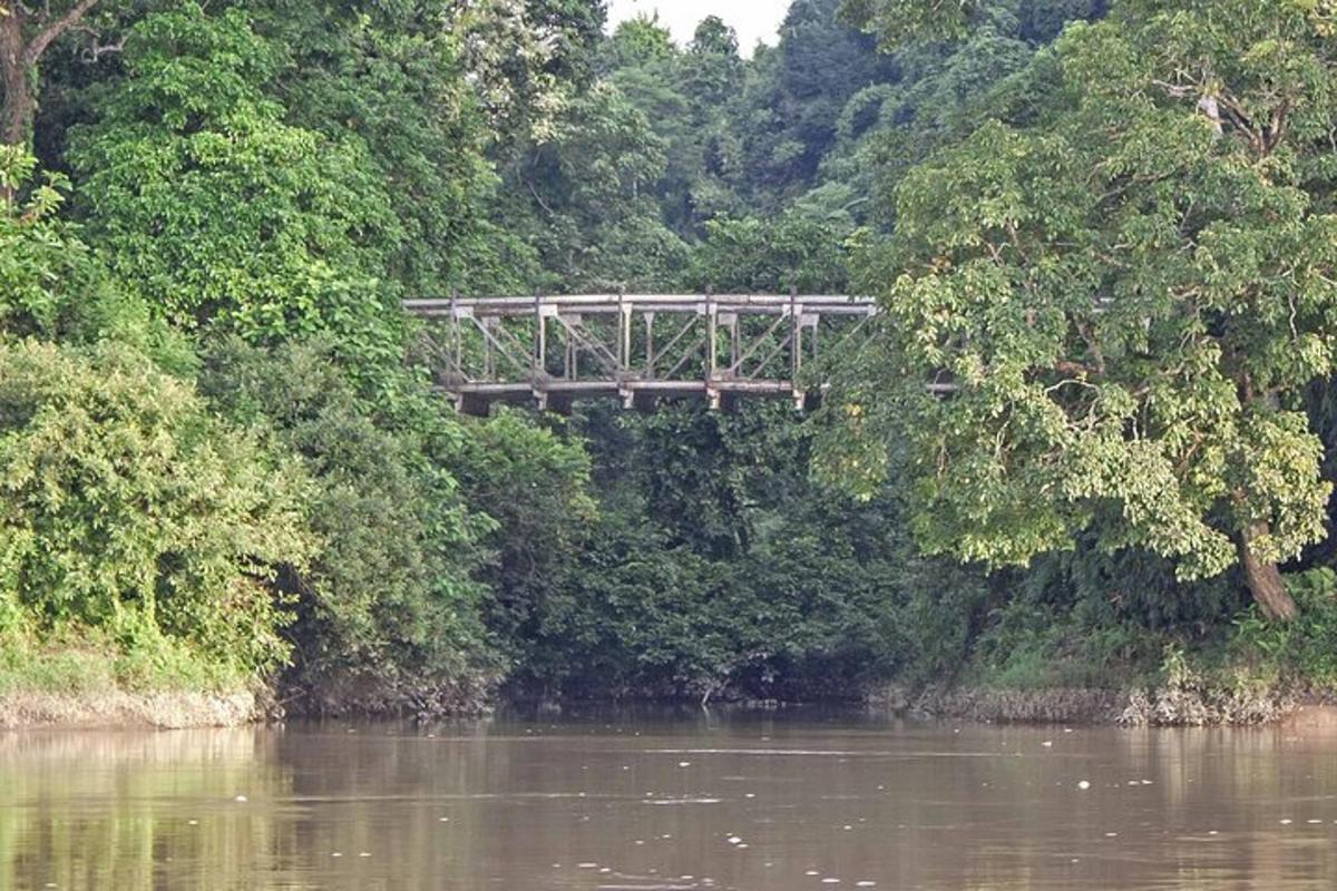 a wooden bridge over a river with trees