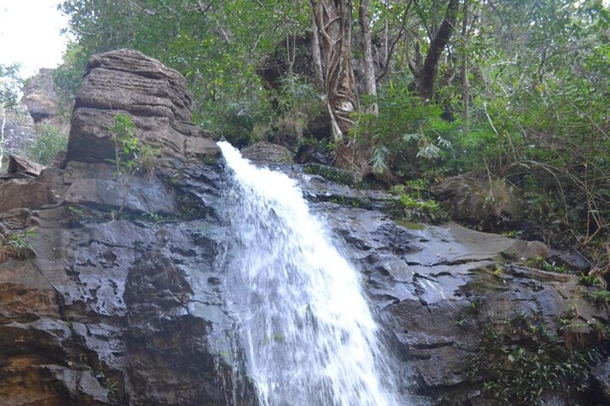 a waterfall on the side of a mountain with trees