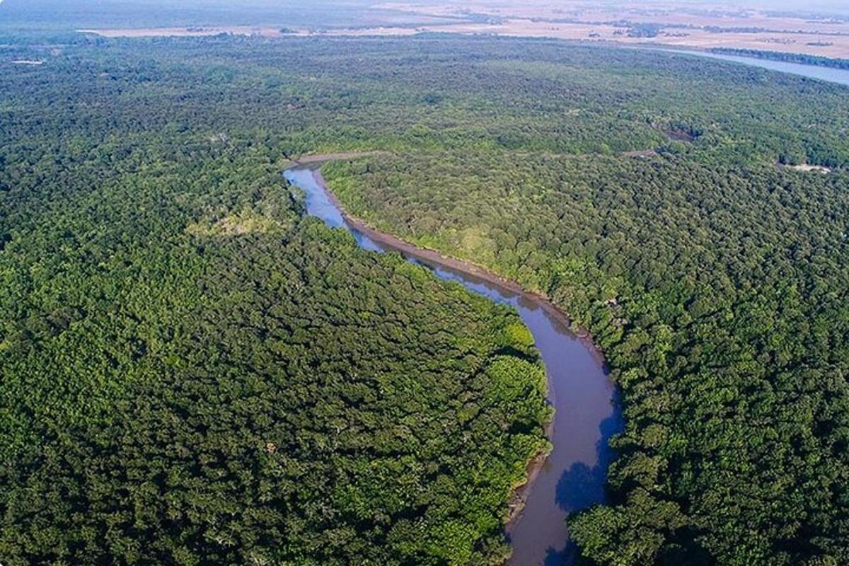 an aerial view of a river in a forest