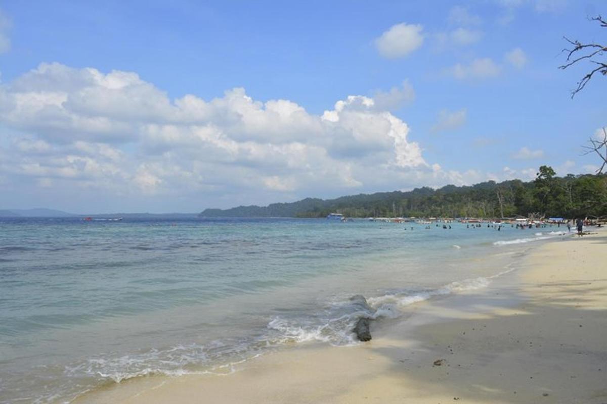 a beach with a bunch of people in the water