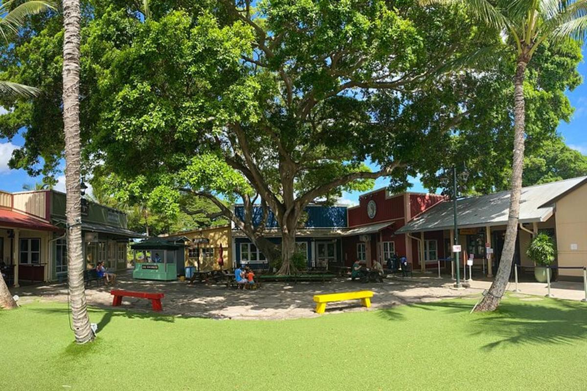 park s lavičkami a stromy před budovou
