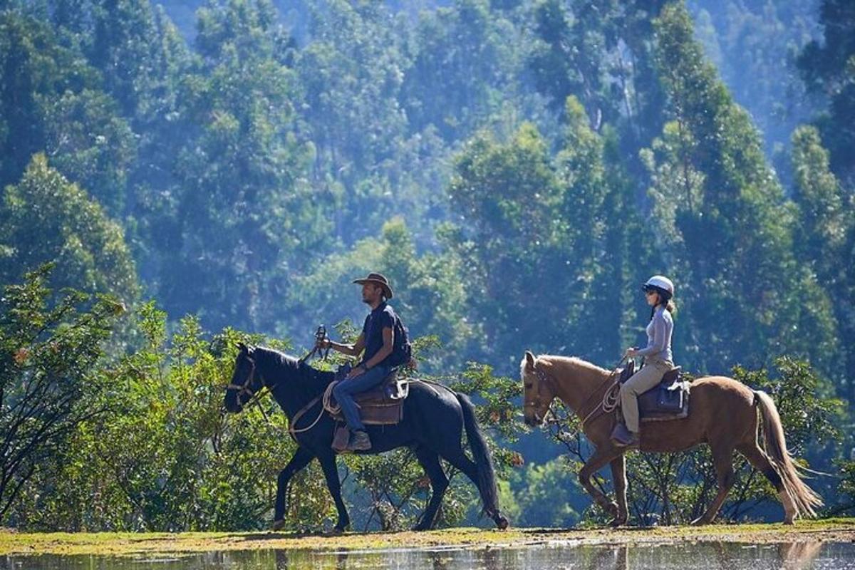 un uomo e una donna a cavallo