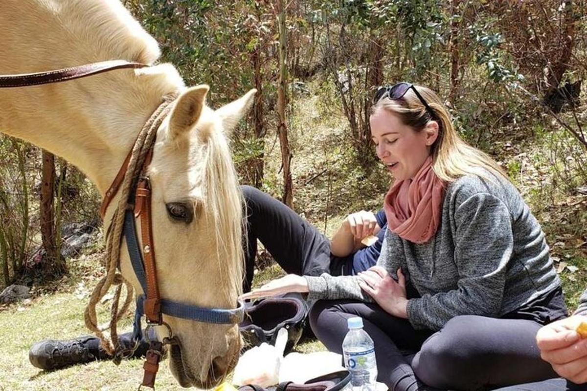 una donna seduta accanto a un cavallo marrone e bianco