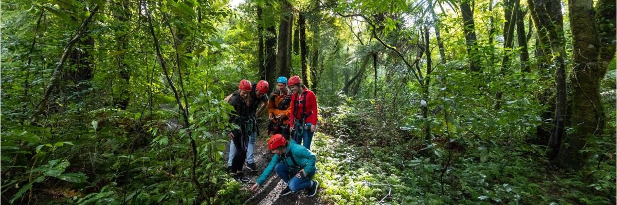 a group of people walking on a trail in the jungle