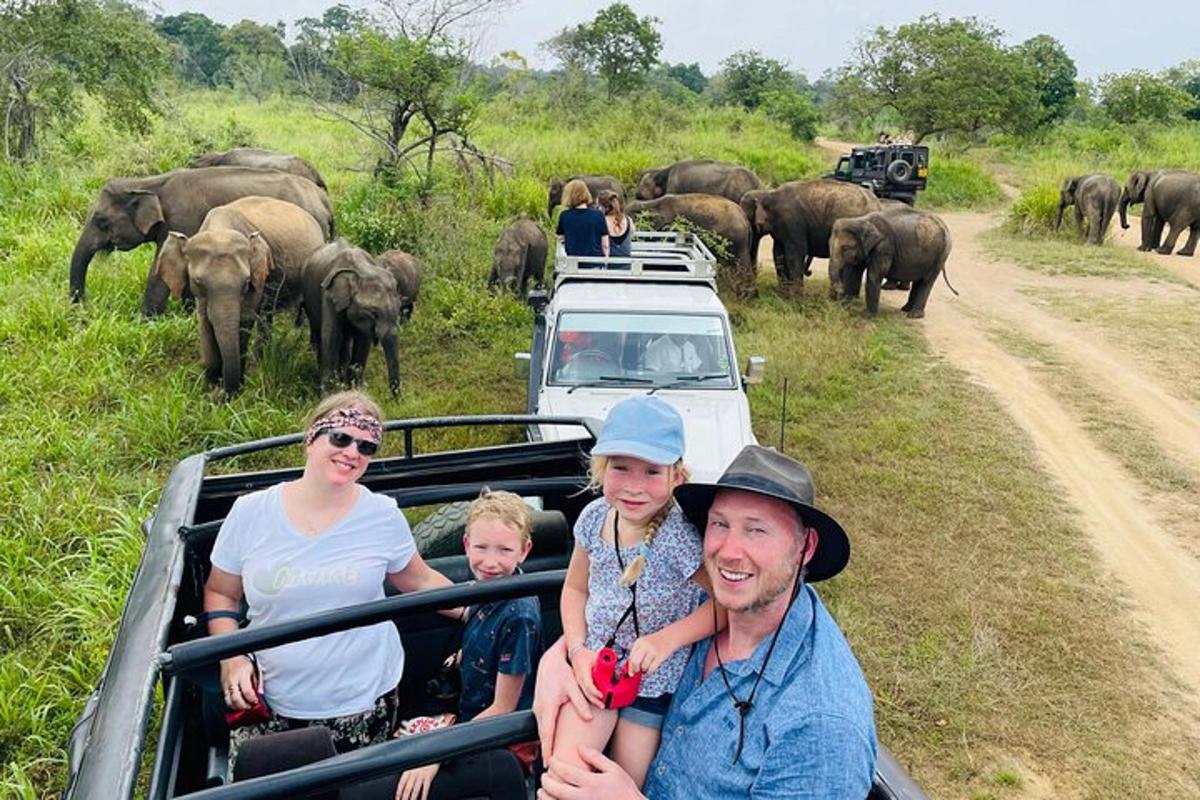 Skupina lidí jedoucích v safari trucku se slony
