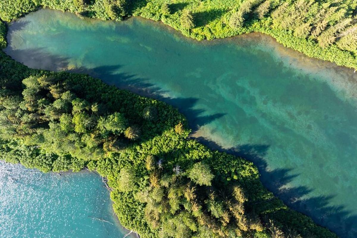 Поглед из ваздуха на реку са дрвећем и водом