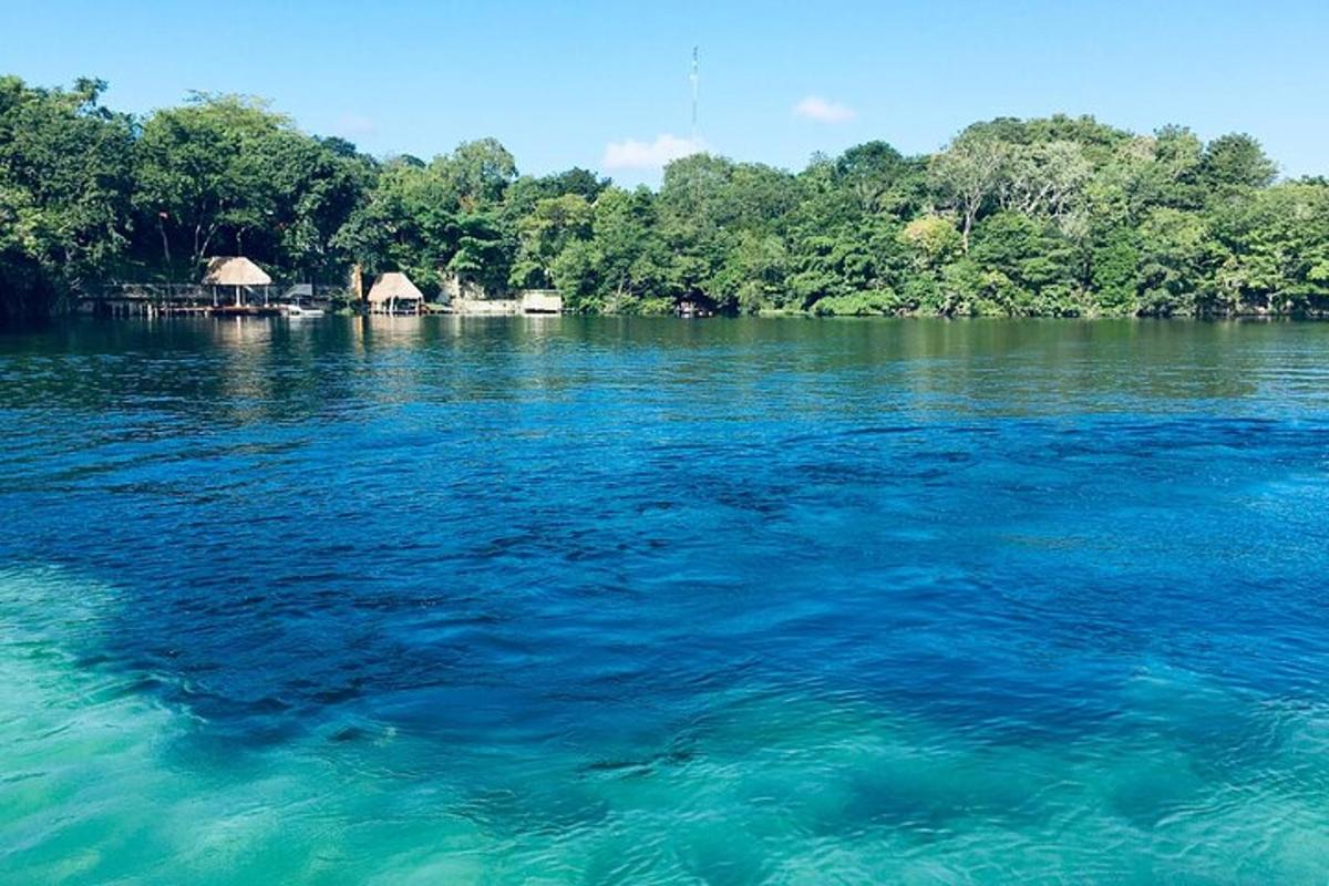 pemandangan perairan besar dengan pepohonan