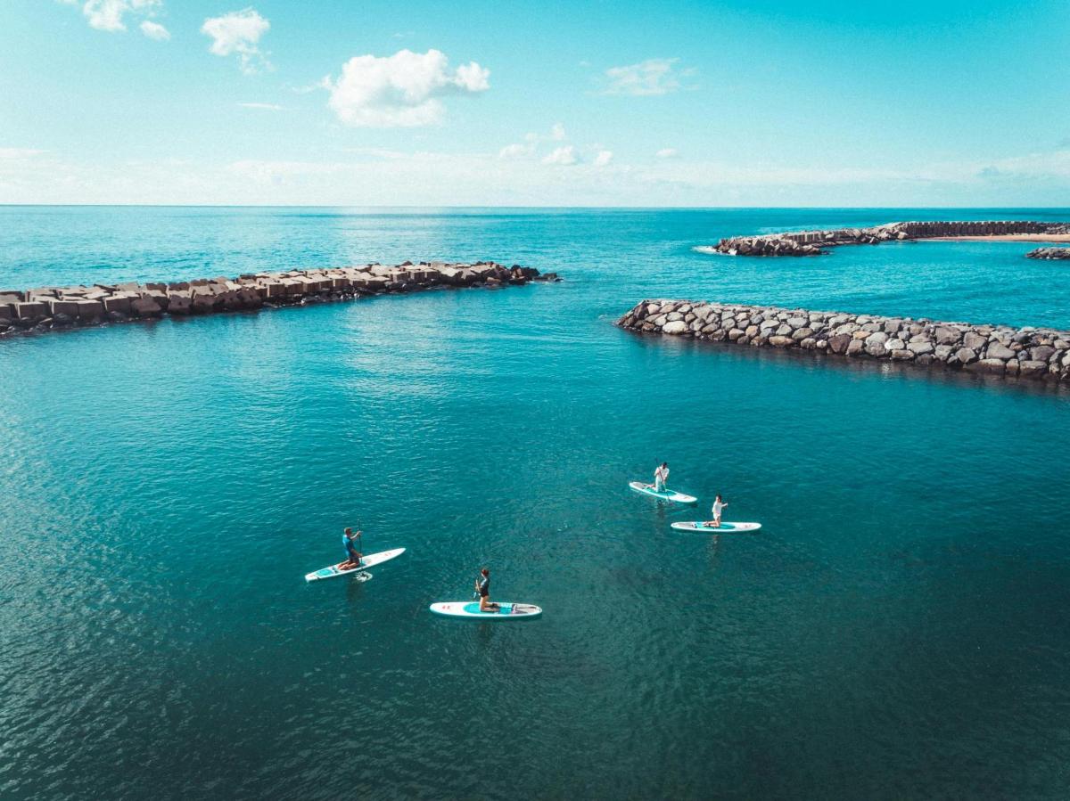 Un grupo de personas en tablas de surf en el agua.