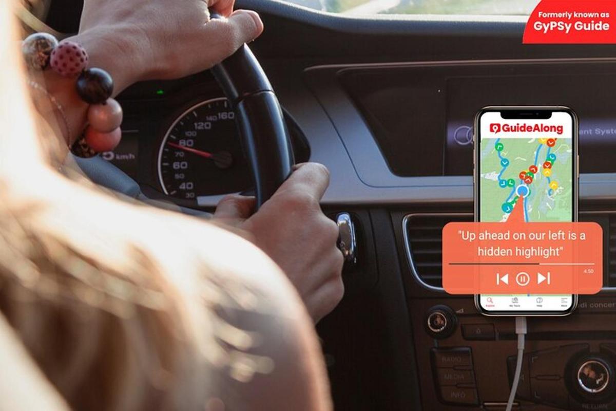 osoba řídící auto s mobilním telefonem v autě