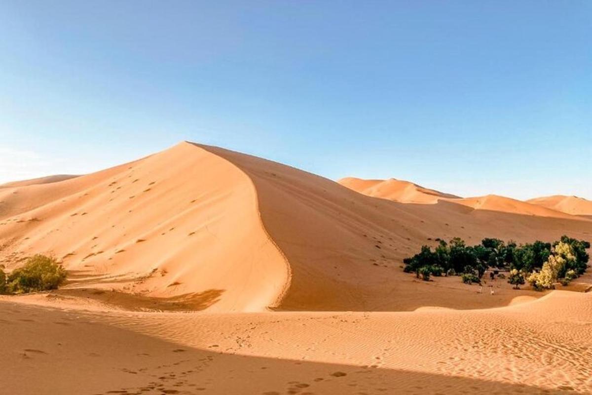 una duna de sorra al mig d'un desert