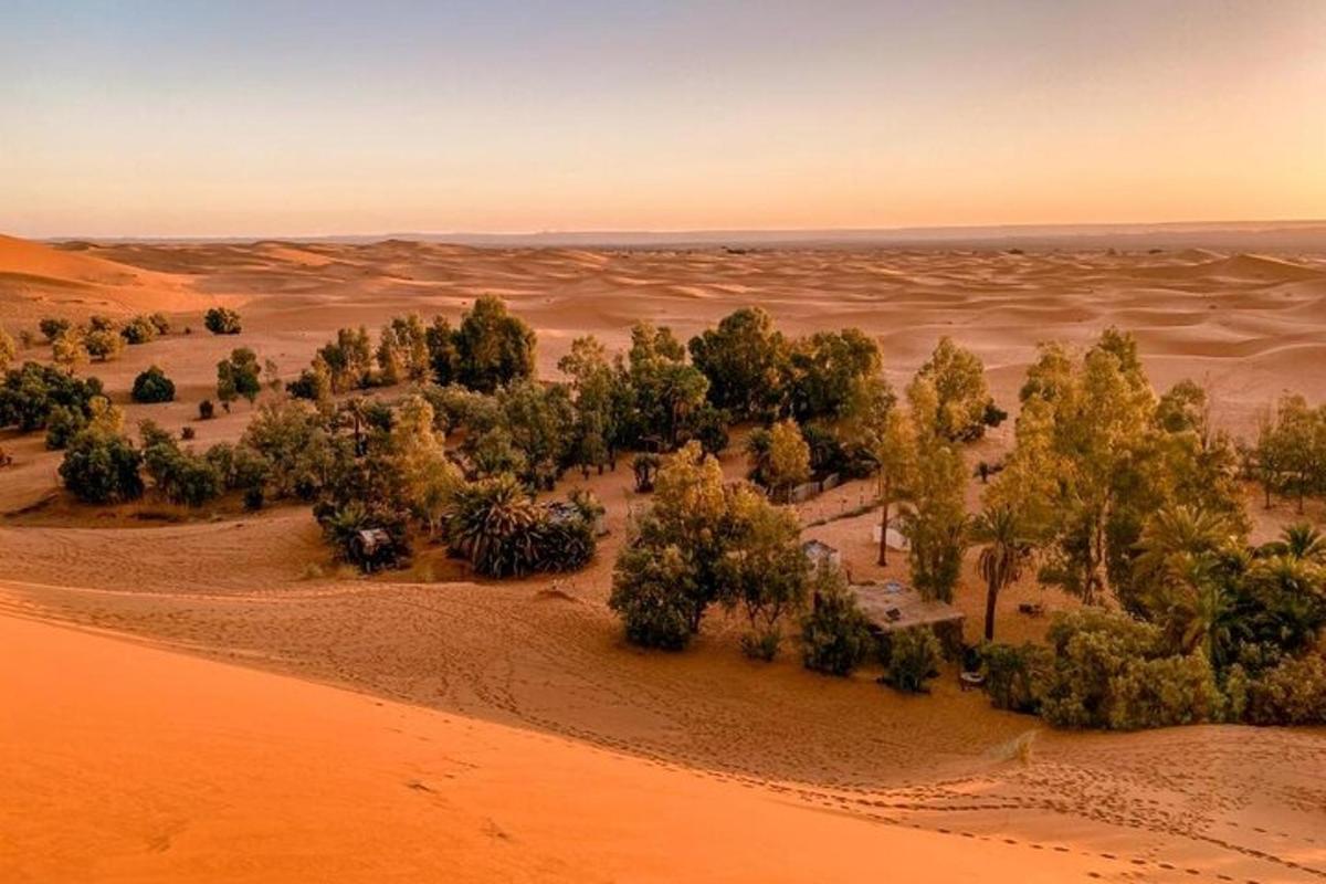 vista aèria d'un desert amb arbres i sorra