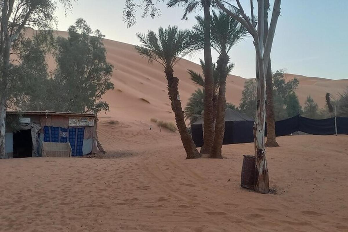 un desert amb palmeres i un edifici a la sorra