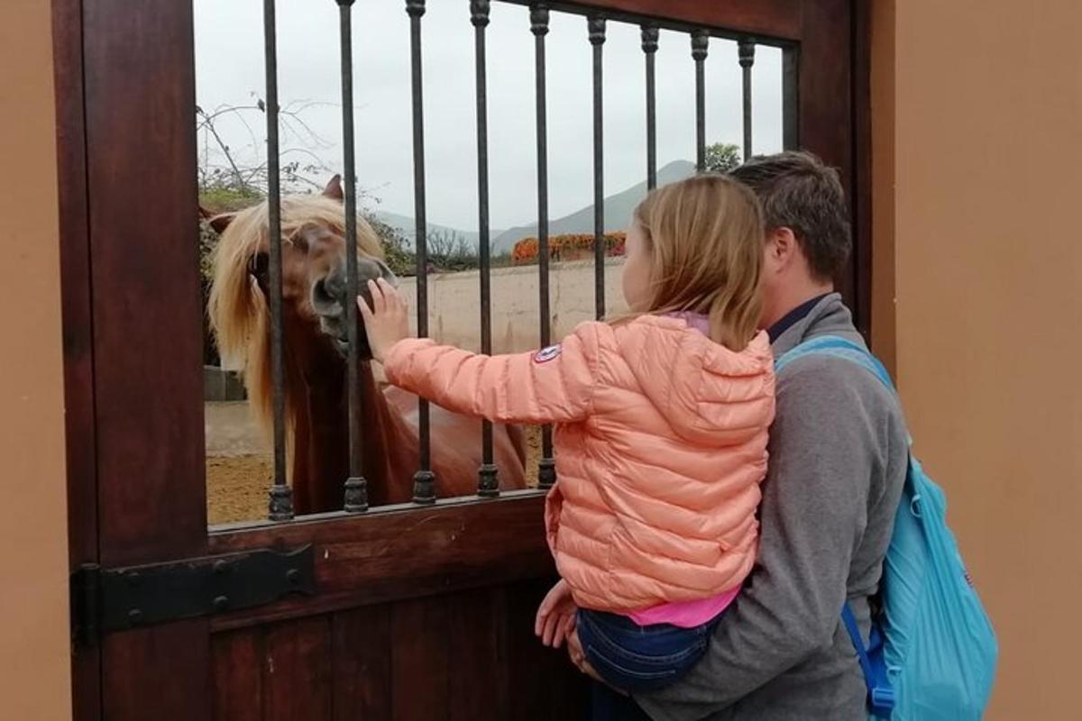 Ένας άντρας και ένα μικρό κορίτσι κοιτάζουν ένα σκυλί πίσω από μια πύλη