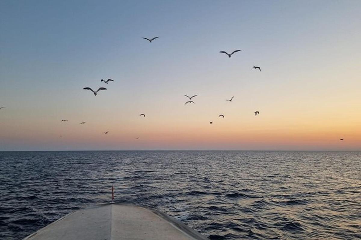 skupina ptáků letících nad oceánem