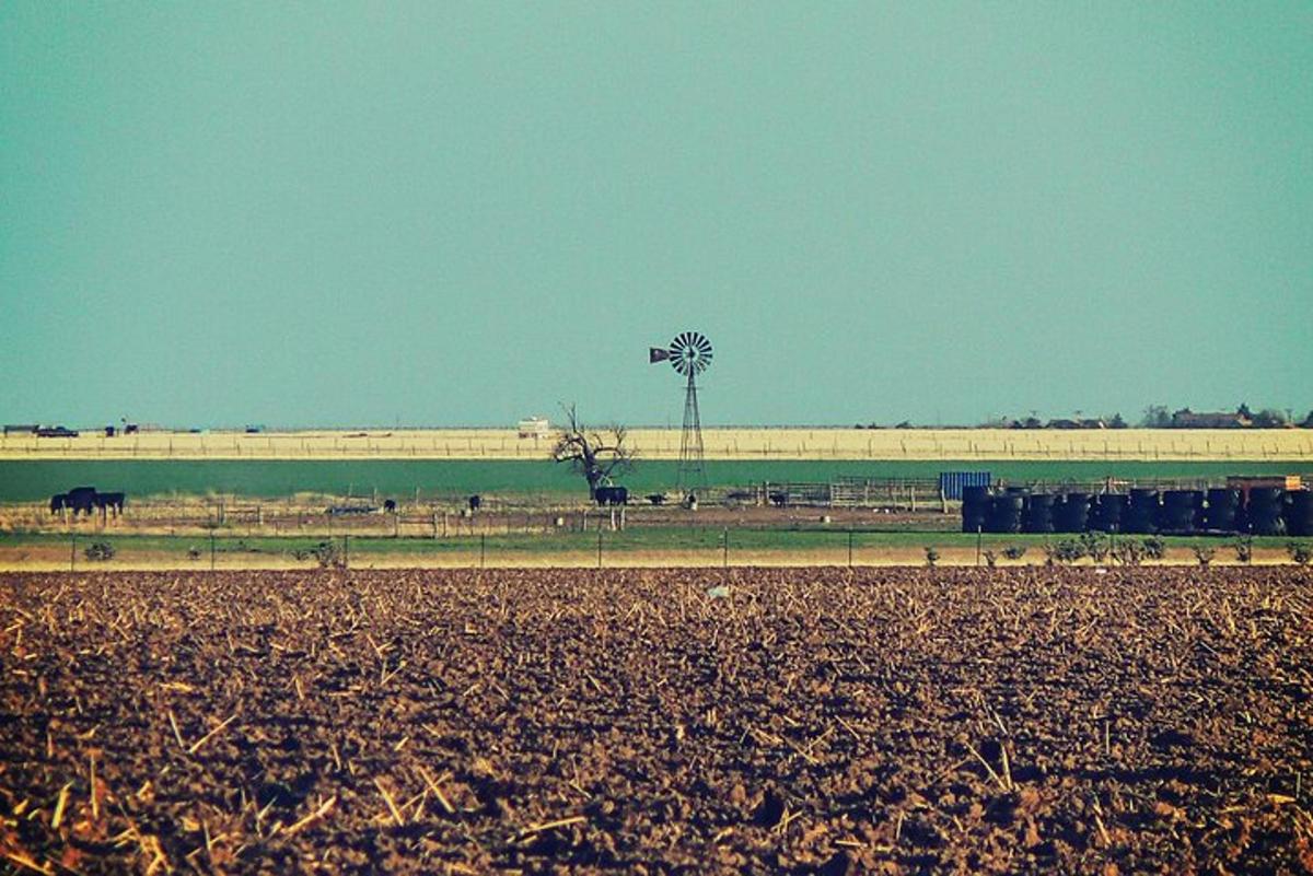 a field with a farm with a horse in the distance