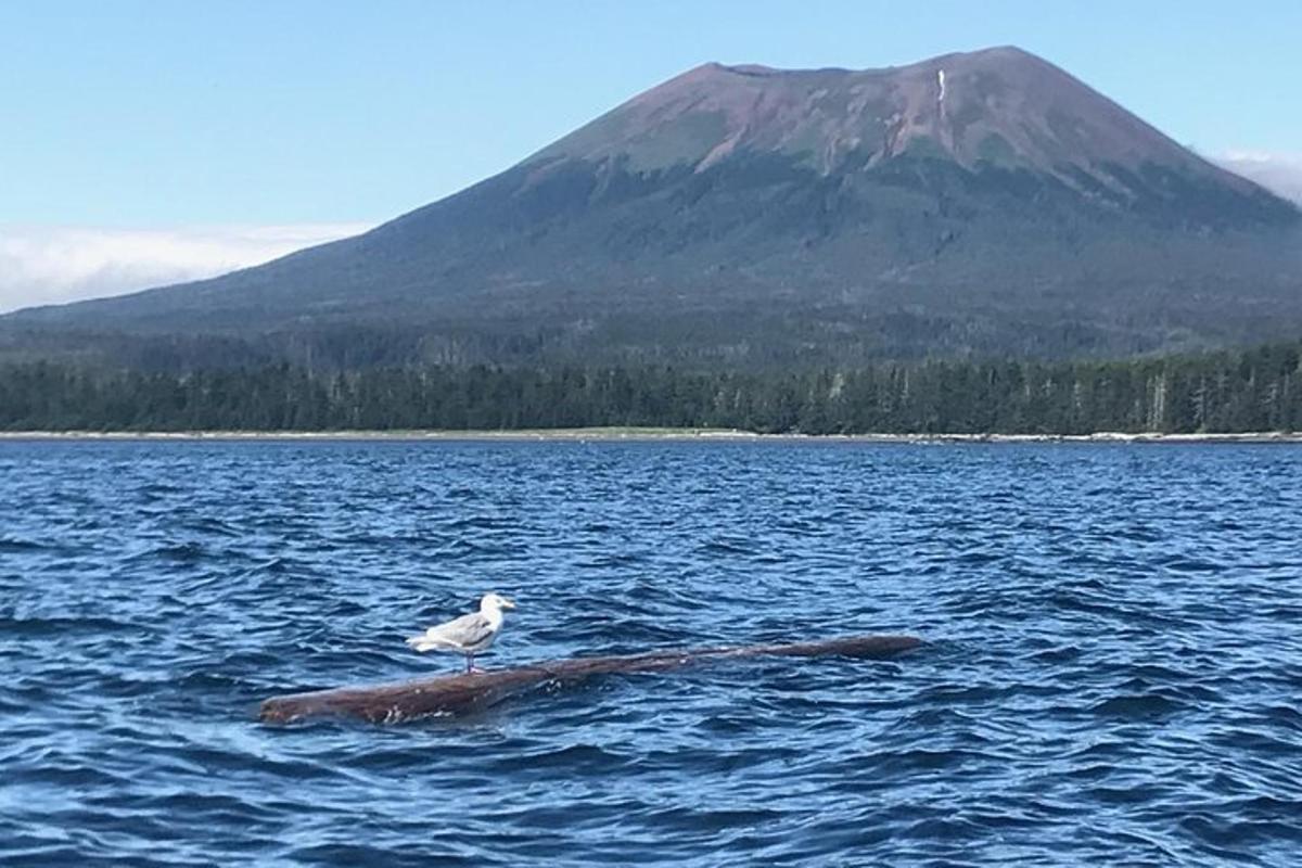 a bird sitting on a rock in the water with a mountain