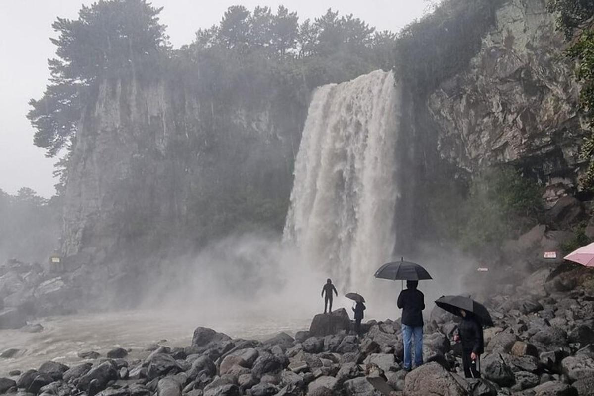 un gruppo di persone con gli ombrelli in piedi davanti a una cascata