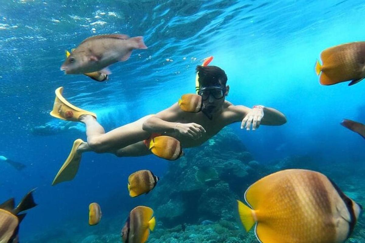 a person swimming in the water with fish