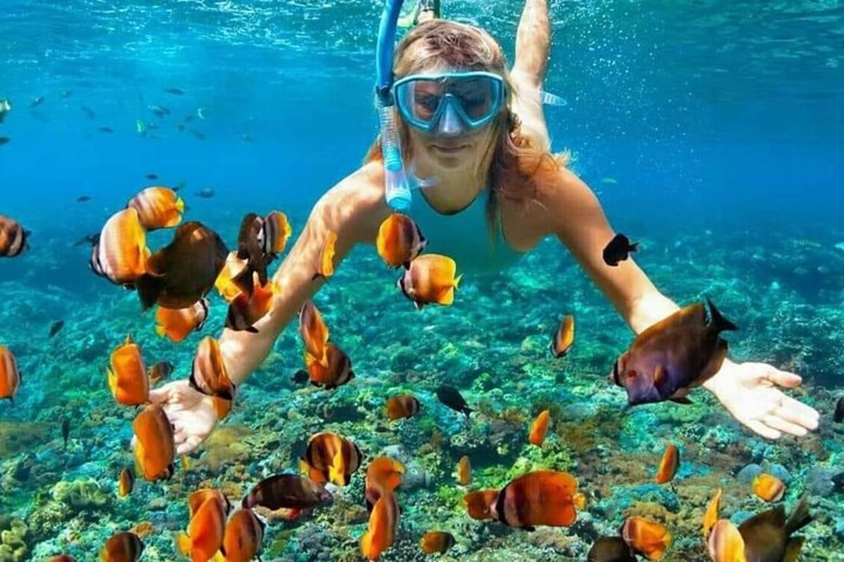 a woman in the ocean looking at fish