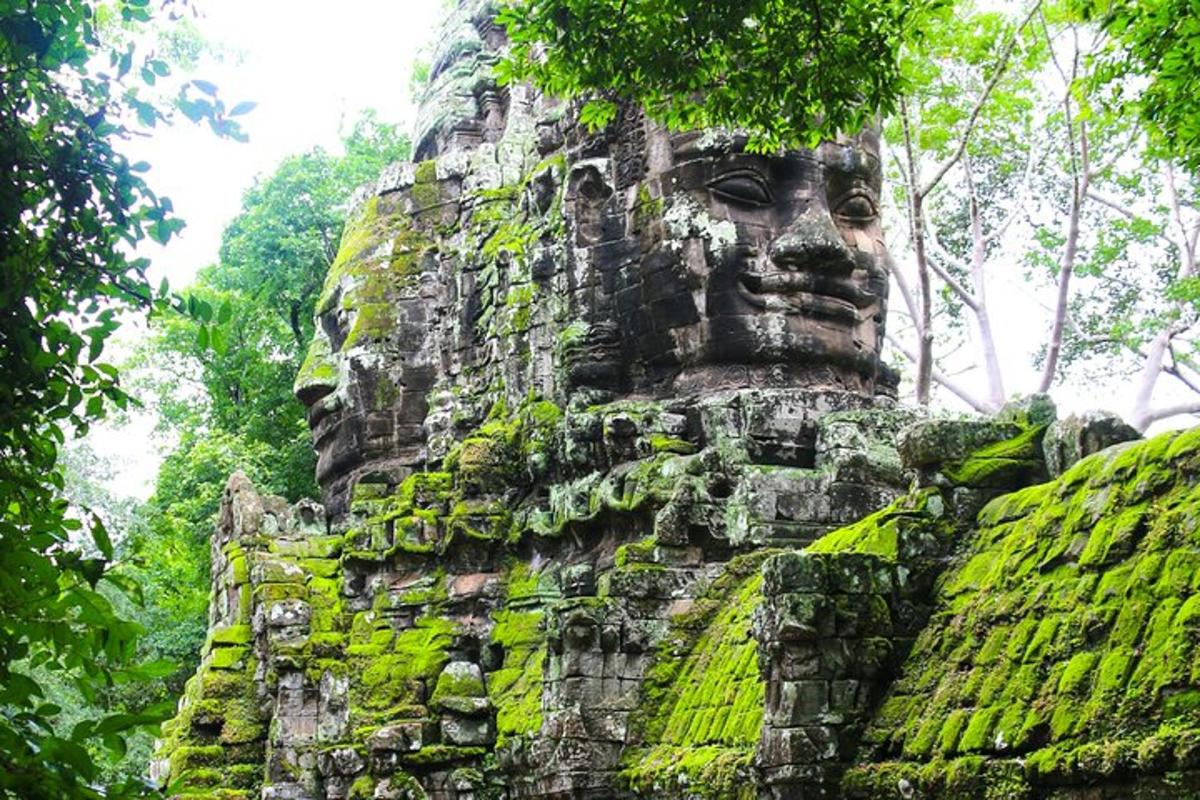a large stone statue in a forest of trees