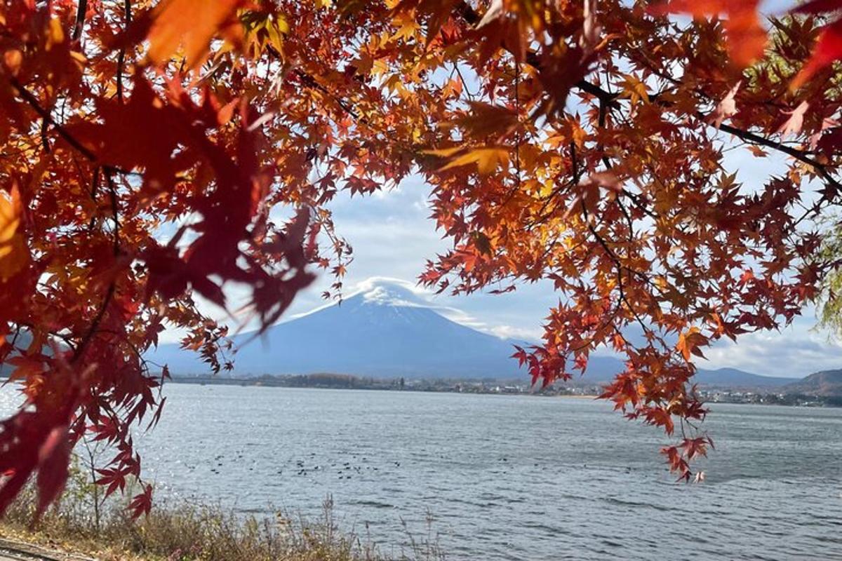 pogled na zasneženo goro nad vodno površino