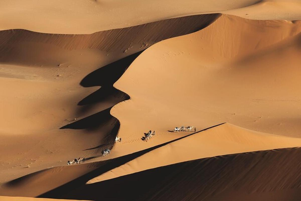 un gruppo di cammelli su una duna di sabbia nel deserto