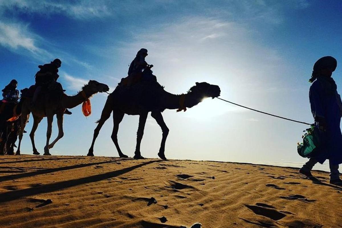 a group of people riding on camels in the desert