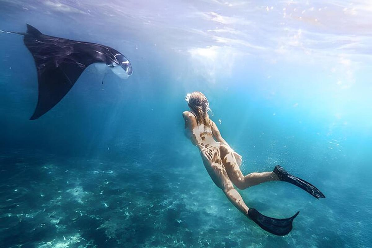 a person swimming in the water with a dolphin