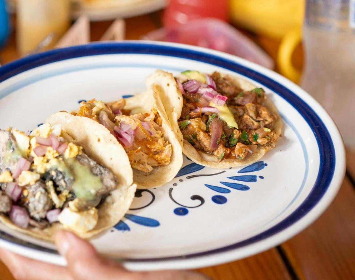 een persoon die een bord vasthoudt met twee taco's erop