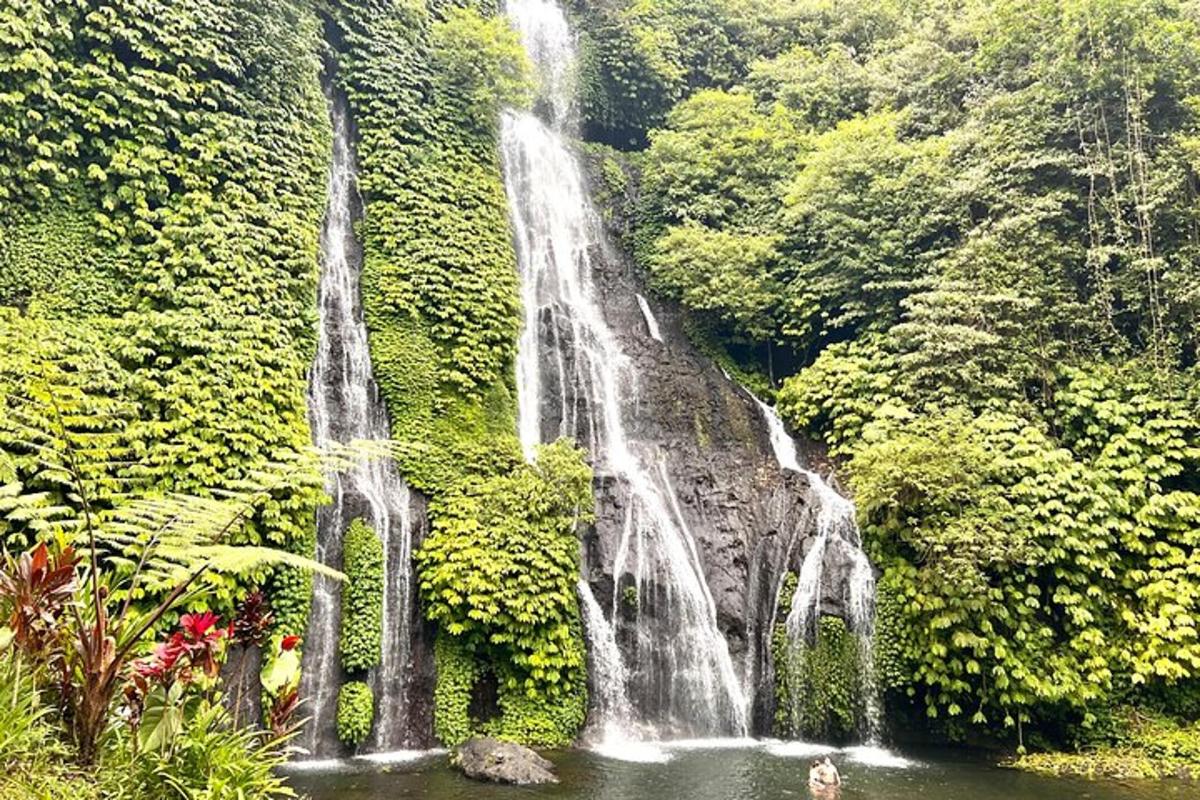 uma cachoeira no meio de uma poça d'água