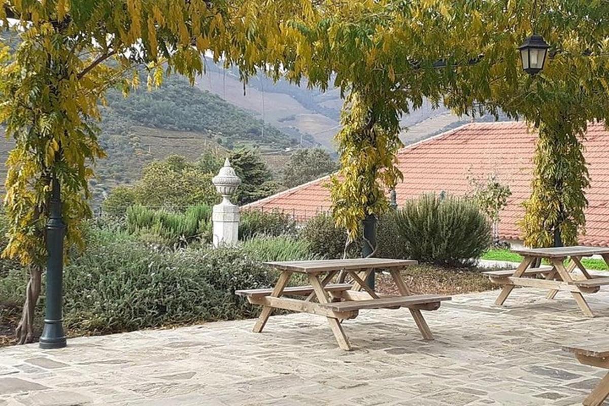 due tavoli da picnic e un lampione in un parco