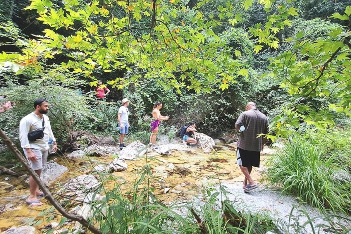 eine Gruppe von Menschen, die in einem Fluss herumstehen