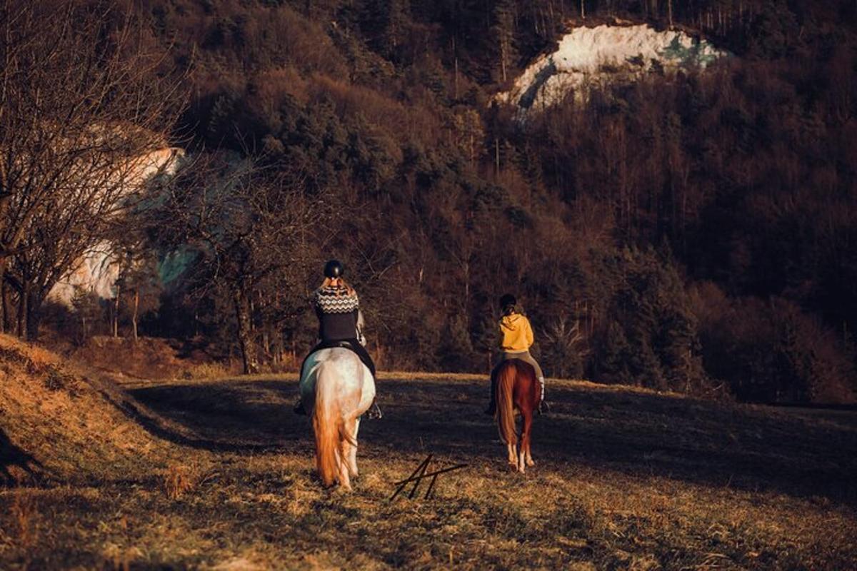 zwei Personen, die auf Pferden auf einem Feld reiten