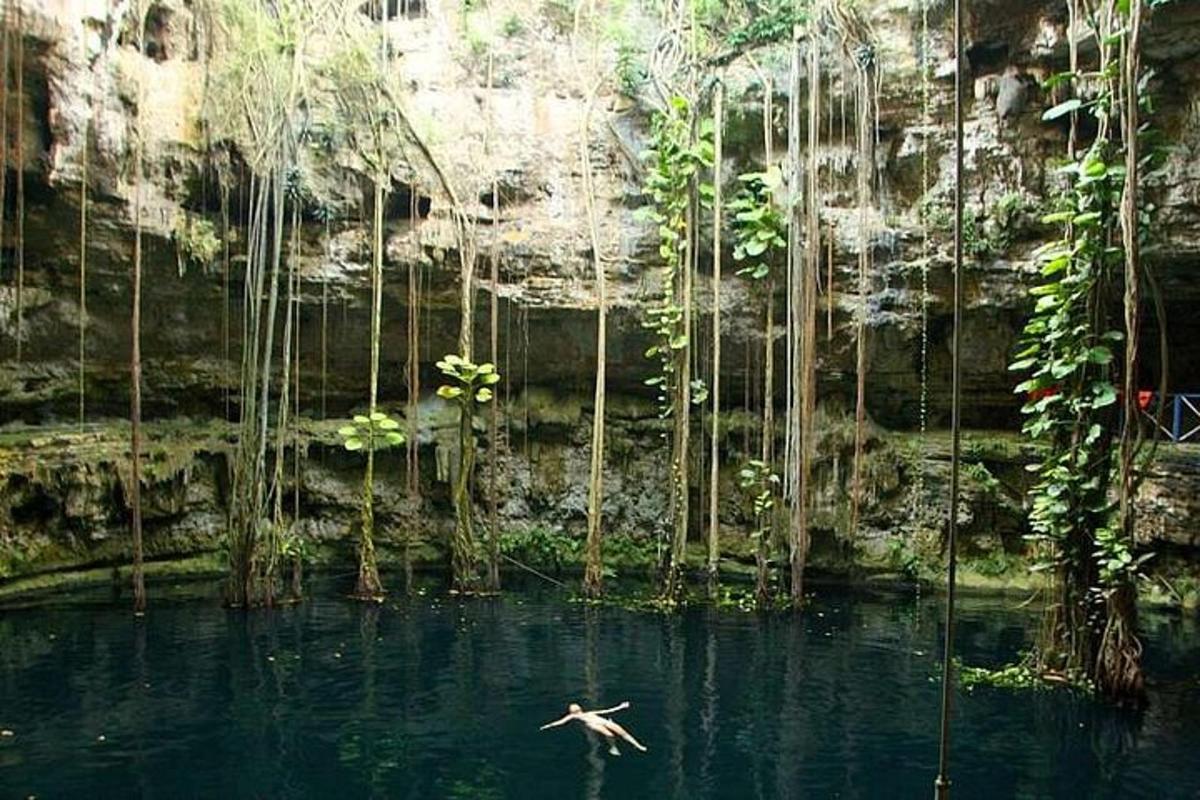 una persona che nuota in una piscina d'acqua con alberi