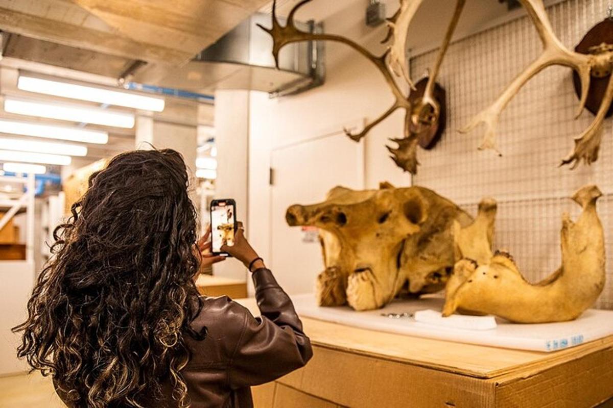 a woman taking a picture of a dinosaur in a museum