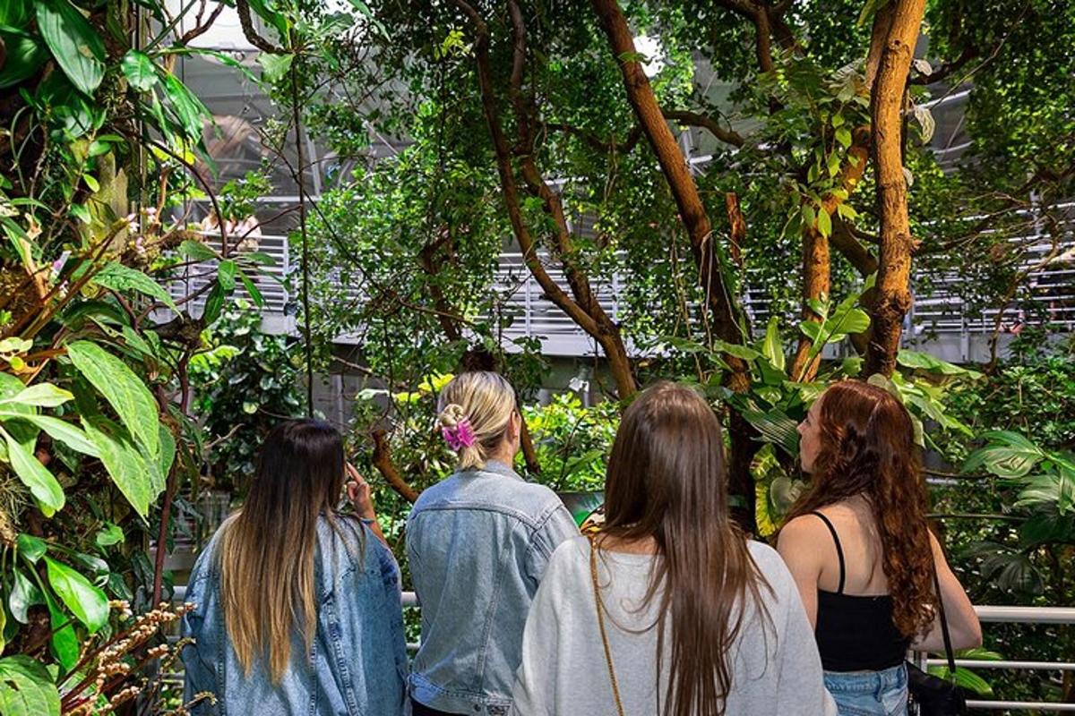 a group of women walking through a garden