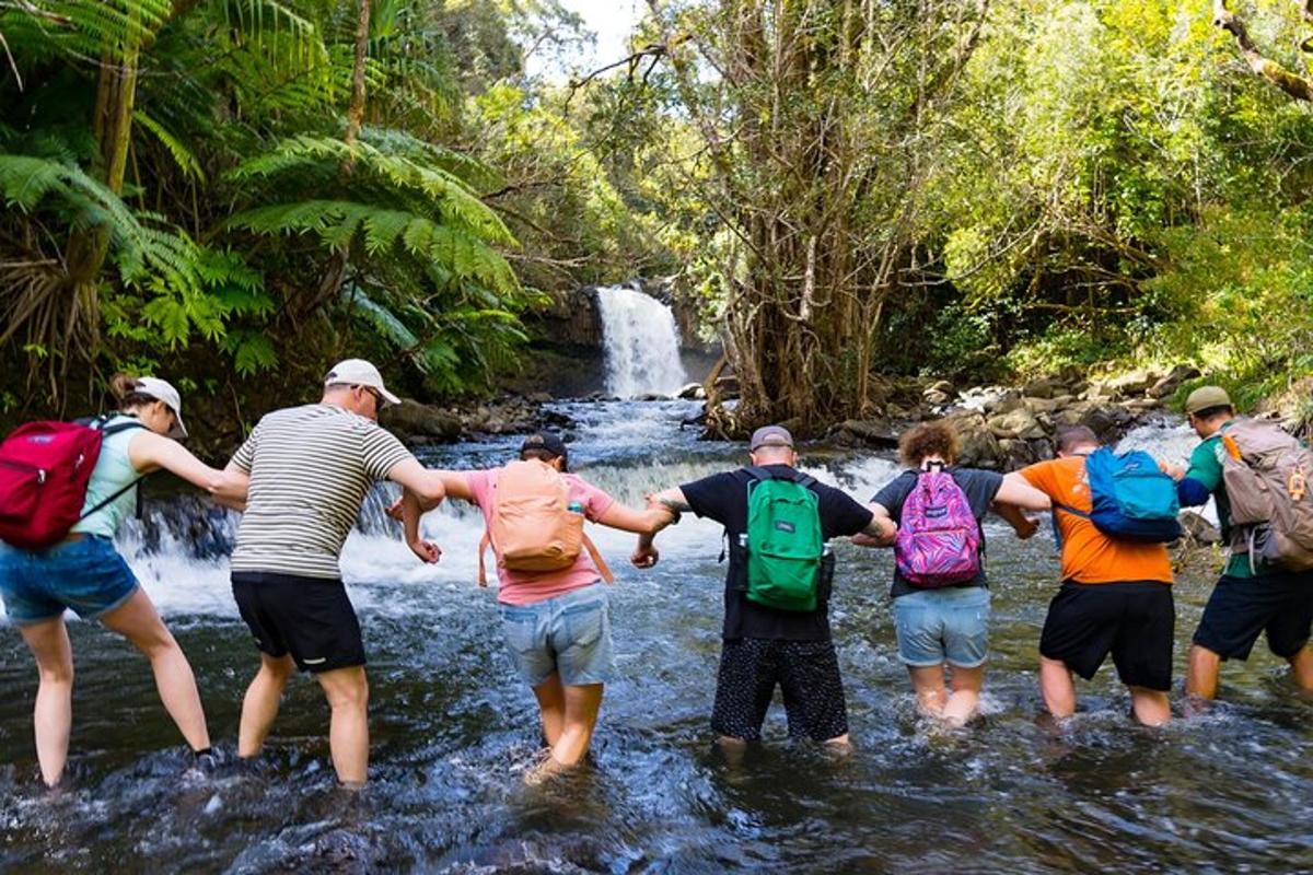 un grup de persones creuant un rierol davant d'una cascada