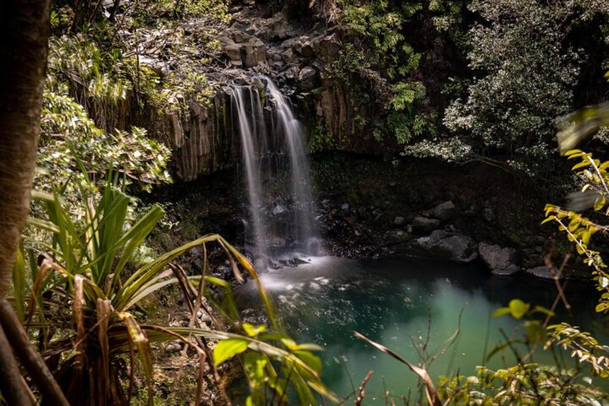 una cascada en un bosc amb un estany d'aigua