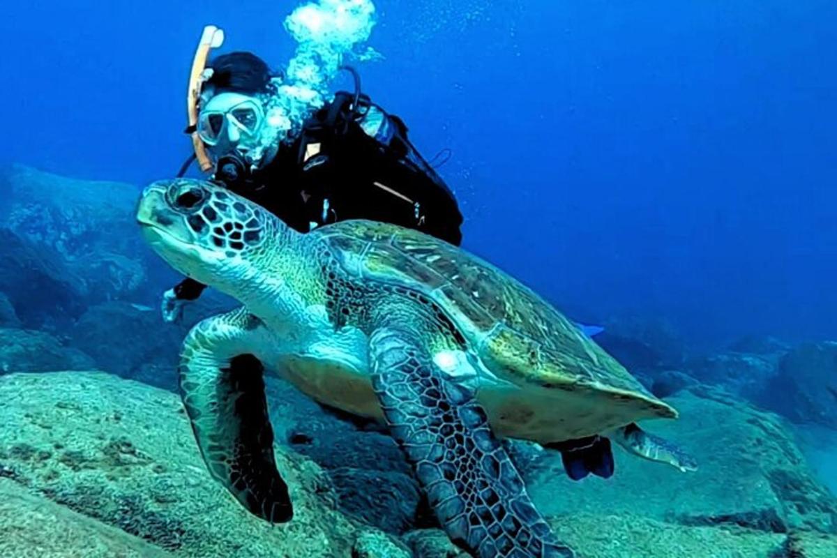Muž stojí vedle želvy v oceánu
