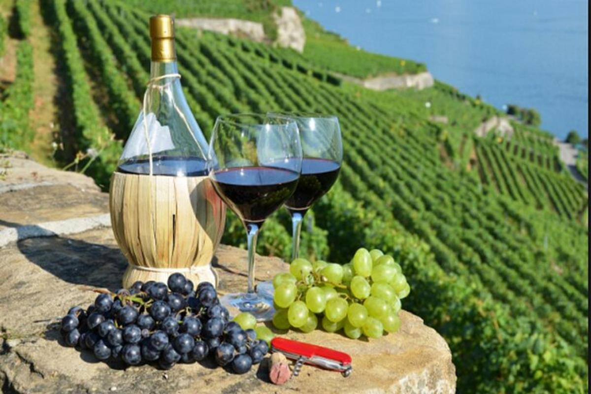 zwei Gläser Rotwein und Trauben auf einem Tisch