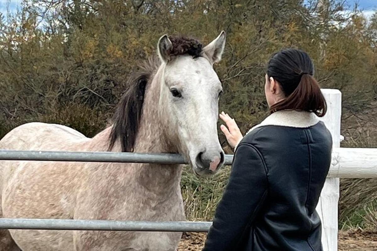 een vrouw aait een paard achter een hek