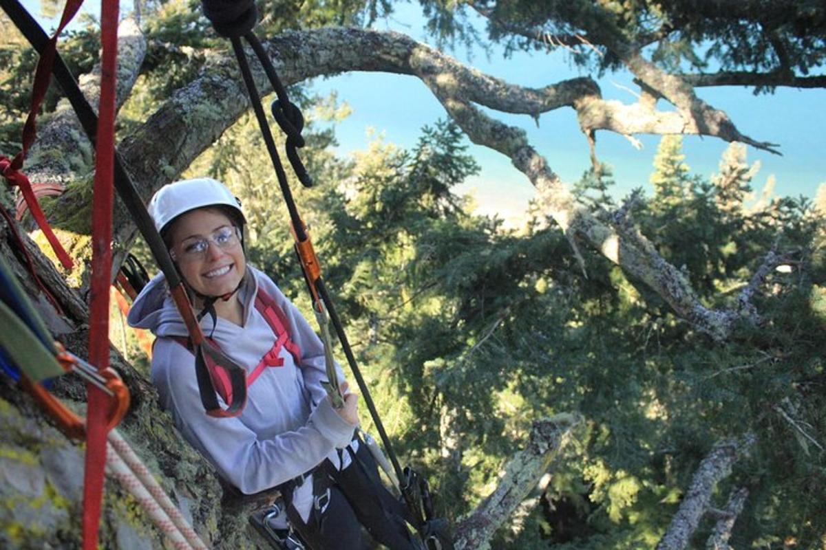 a woman on a zip line in a tree