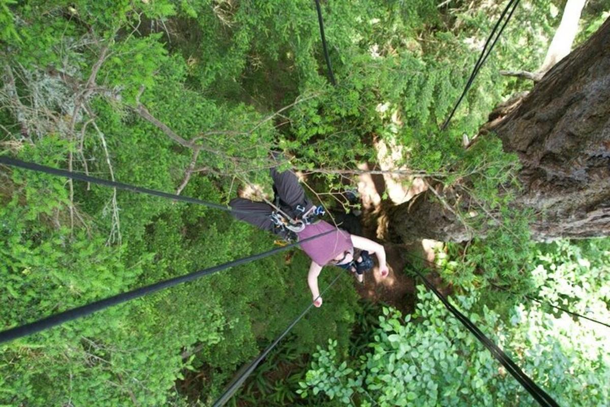 žena kráčející po zip line v lese