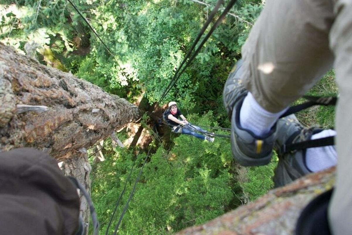 osoba na zip line v lese
