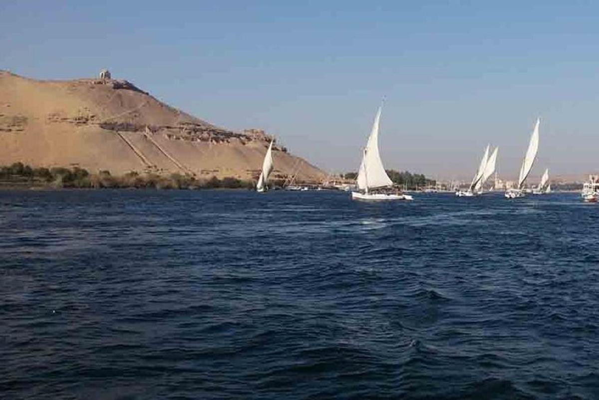 a group of sailboats in a large body of water