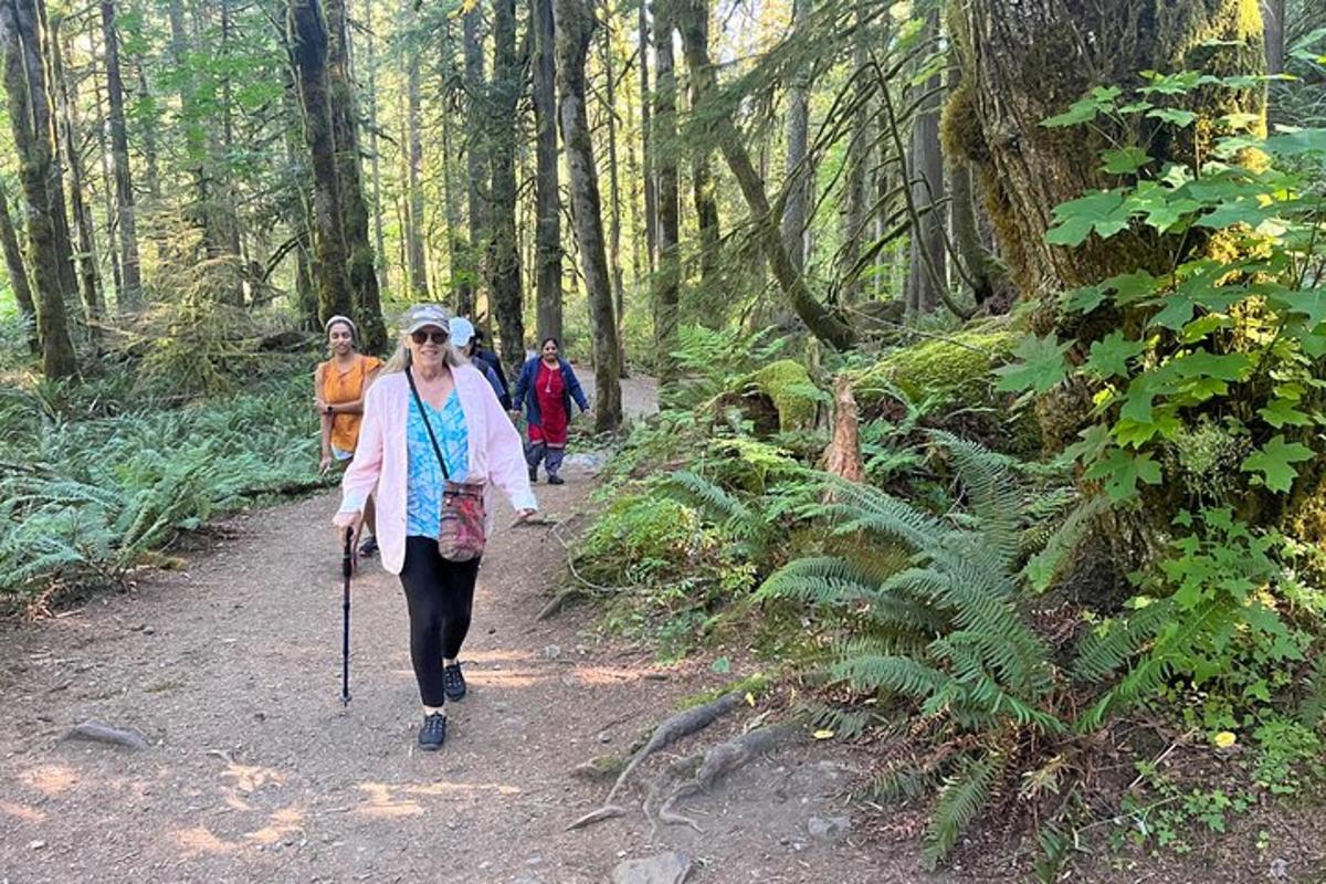 un grup de persones caminant per un sender al bosc